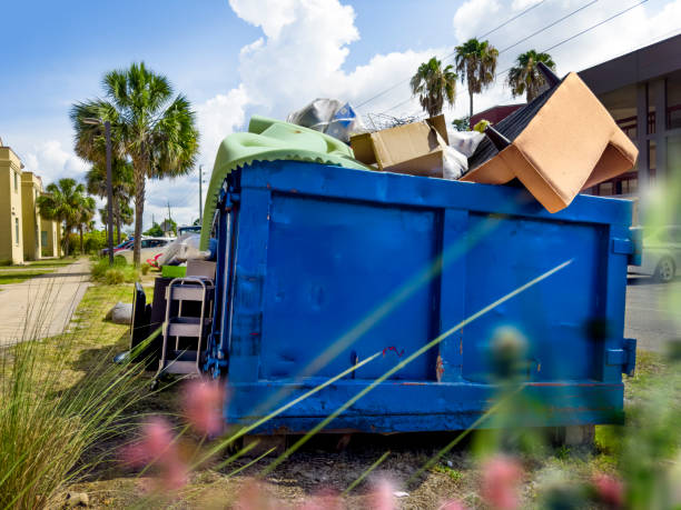 Best Carpet Removal and Disposal  in Danville, PA